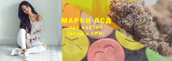 МДПВ Каменка
