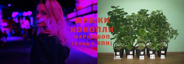 гидропоника Касимов