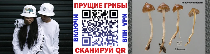 гидра ТОР  Калач  Галлюциногенные грибы мухоморы 