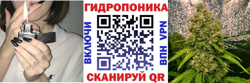 Бошки Шишки конопля  Калач 